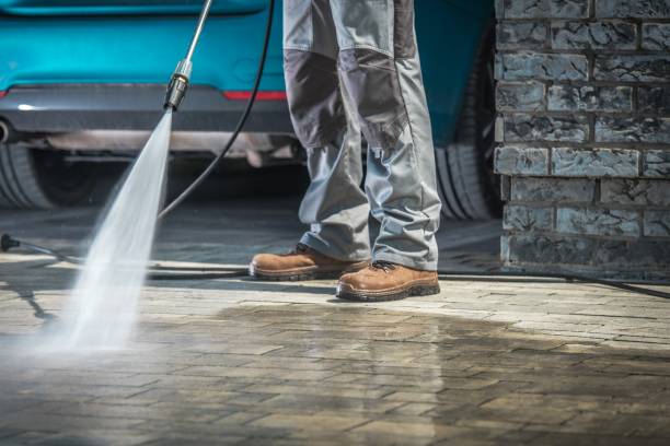 Best Pre-Holiday Cleaning  in Johnsonville, SC