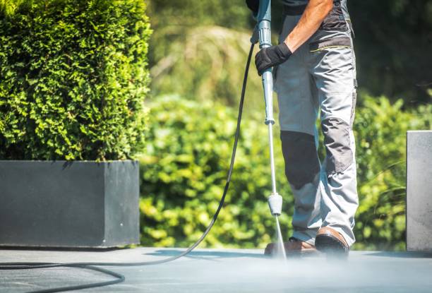 Best Fence Cleaning  in Johnsonville, SC