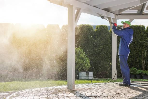 Best Soft Washing  in Johnsonville, SC
