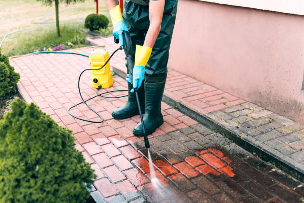 Best Building Exterior Washing  in Johnsonville, SC