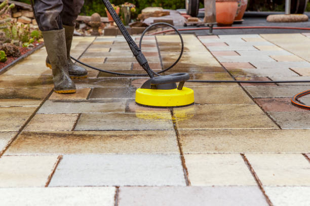 Best Gutter Cleaning  in Johnsonville, SC